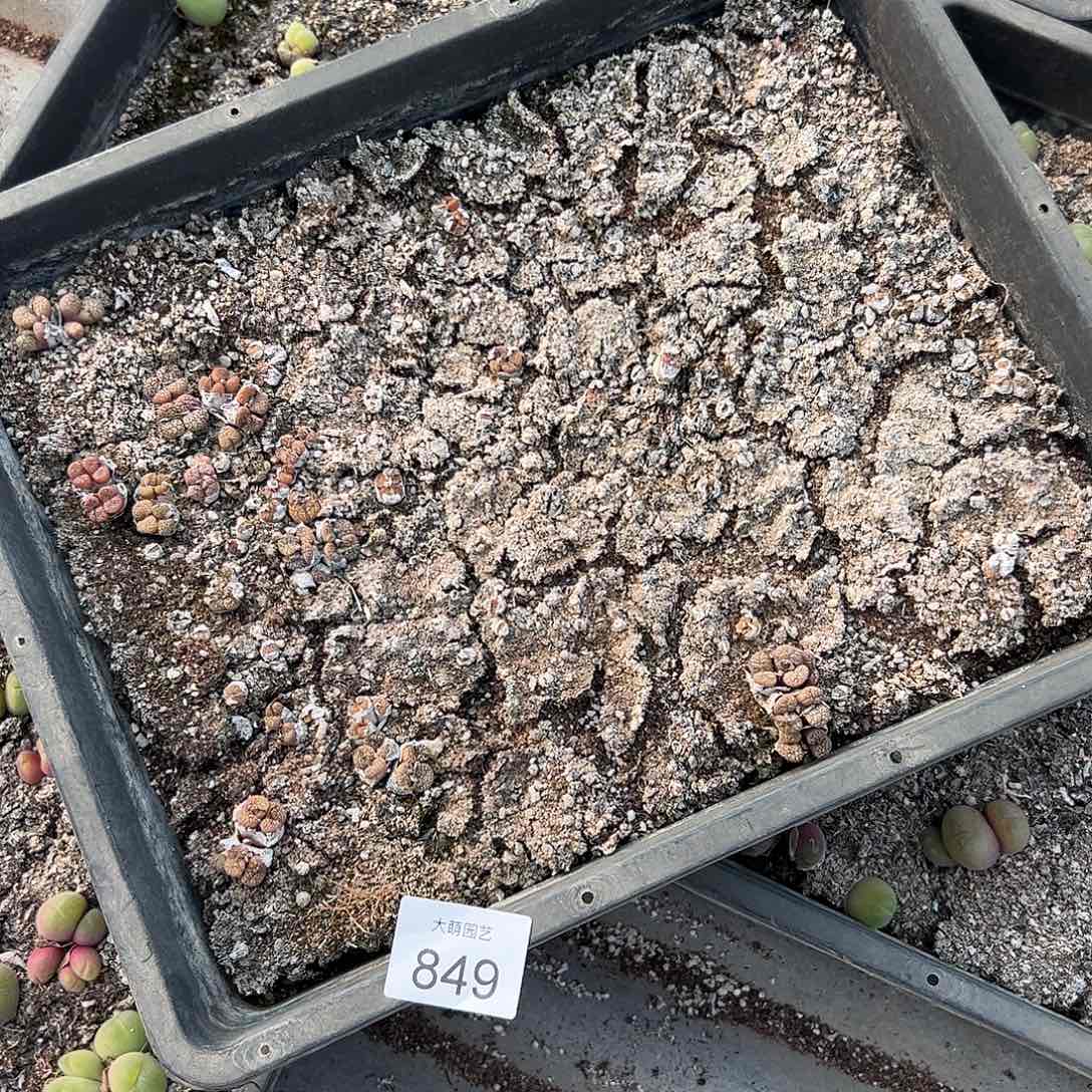 清框脱土发。    849