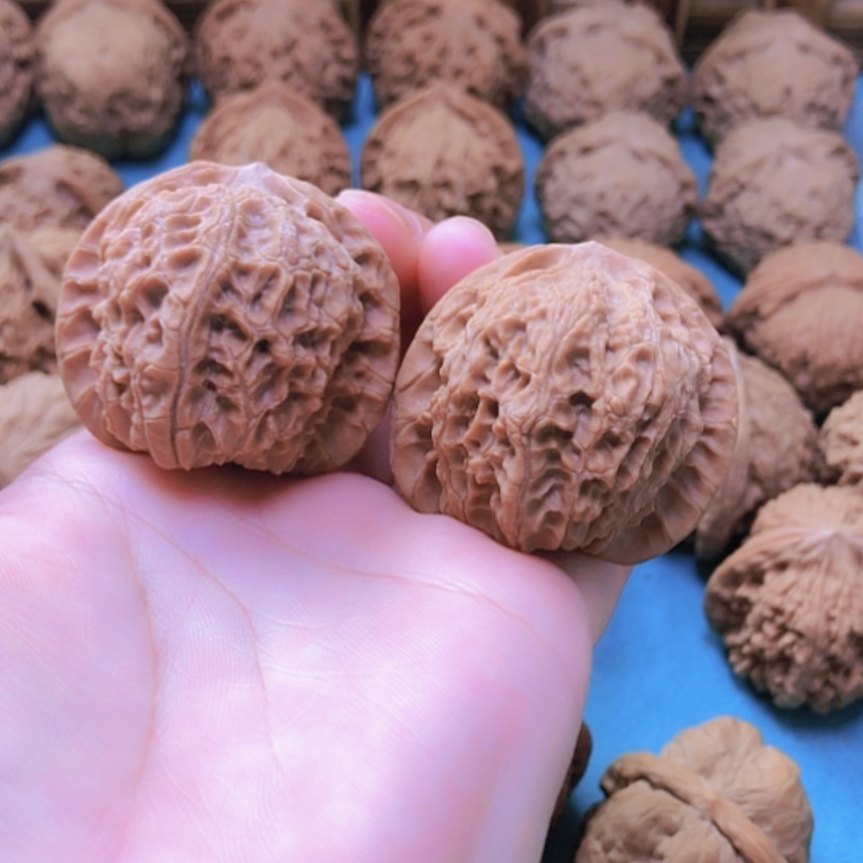 【闪购商品】摆件核桃难*丶40.5血麒麟磕尖