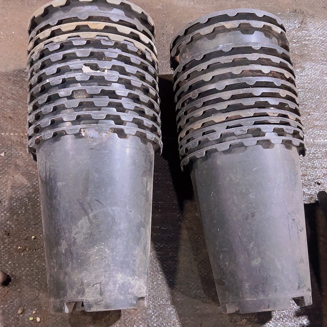 塑料花边兰花盆14.5口径12个