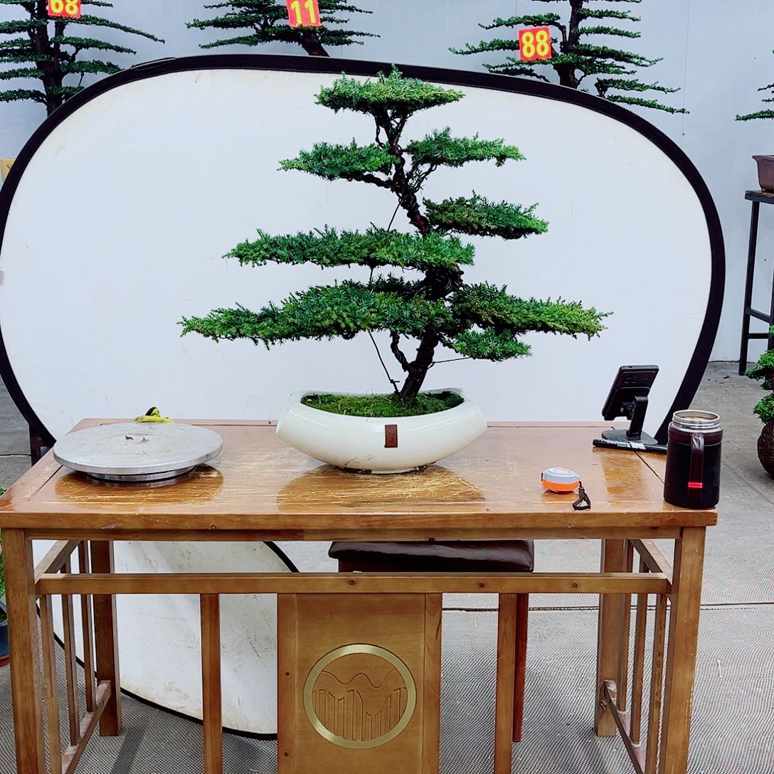 无花朵直播间一物一拍