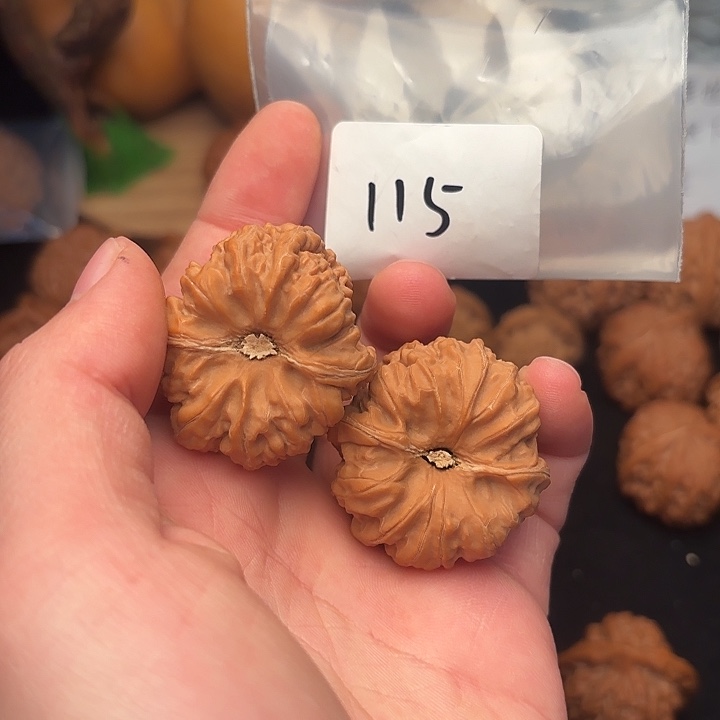 把件文玩核桃37 尺  平谷凹底     115