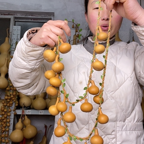 天然植物葫芦文玩