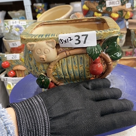 【闪购商品】红陶1