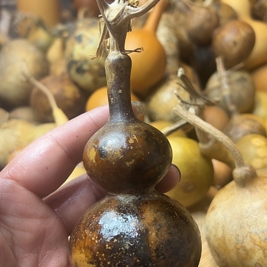 骨****怒葫芦葫芦葫芦葫芦