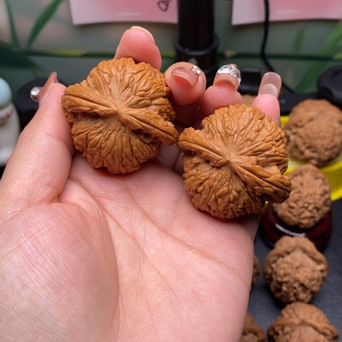 核桃白狮子，42.5尺寸