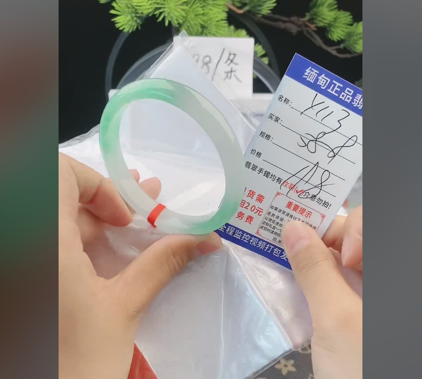 Y113缅甸翡翠手镯处理198/条【一物一证】实物以直播间为准