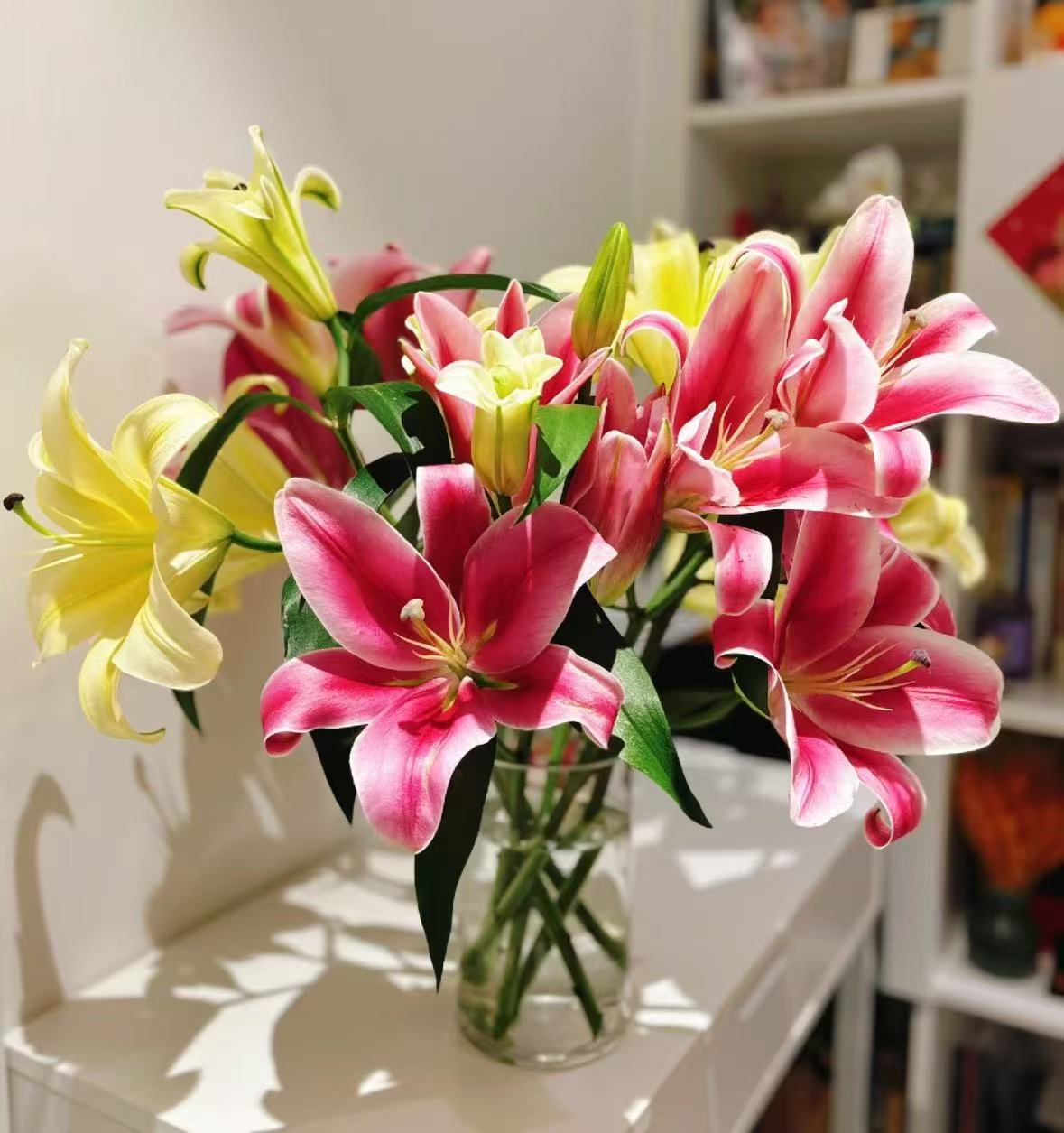 鲜切花百合昆明基地家庭水养