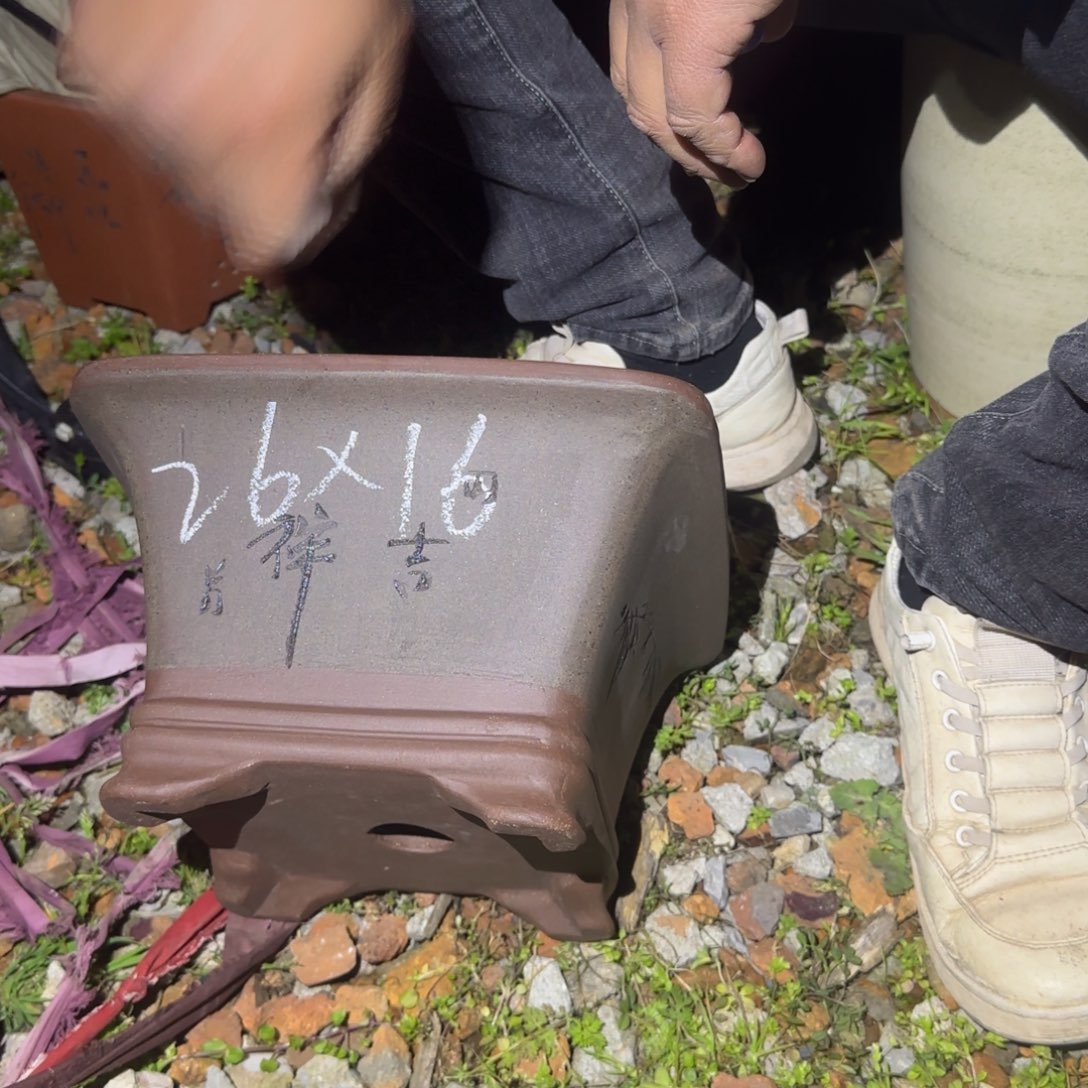 紫砂花盆花盆盆盆栽