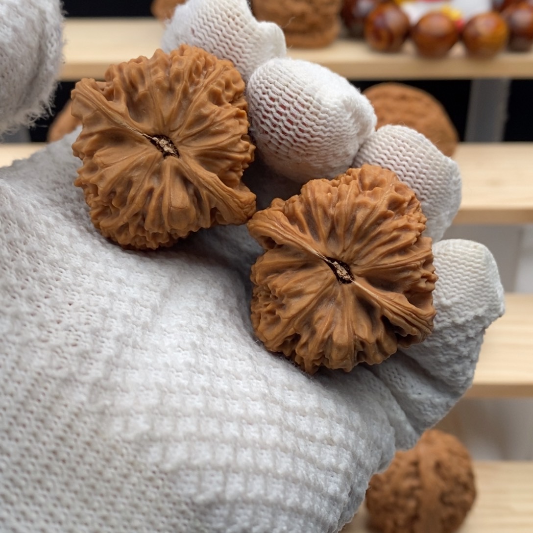 道****文玩核桃把件涿鹿南疆