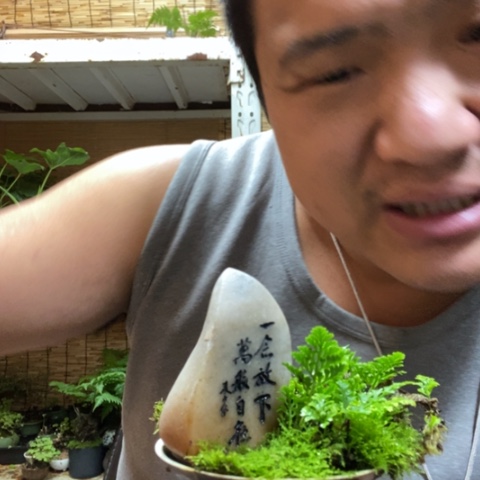 红陶一物一拍所见即所得251