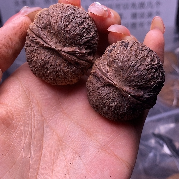 核桃云南野生铁核桃61号37mm