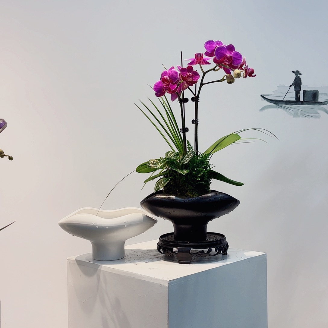 高端绿植一物一拍