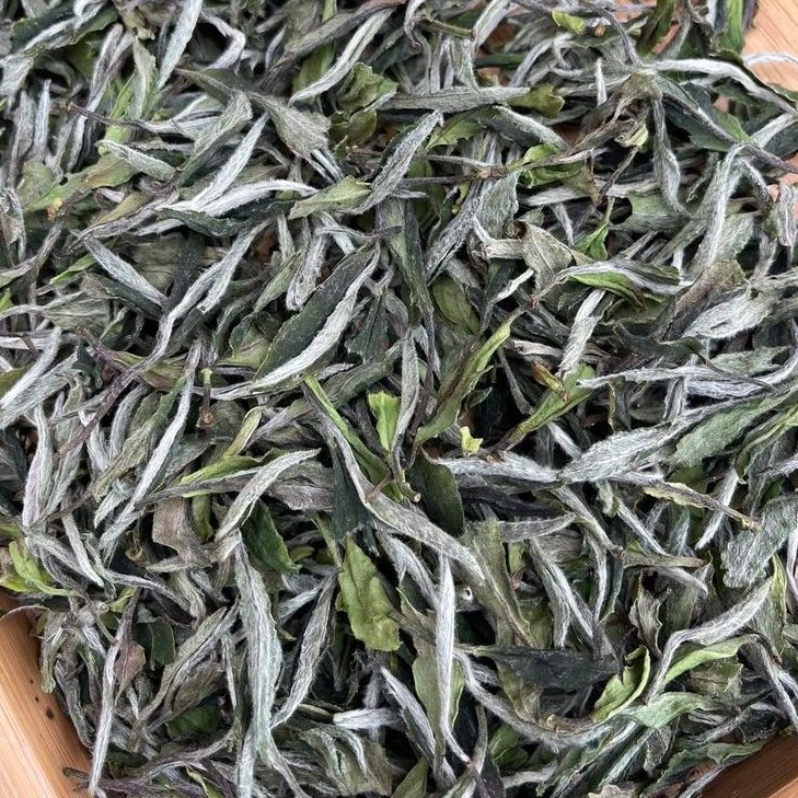 2025年荒野老枞高牡丹/花香显/清甜鲜爽/内质饱满水路细腻