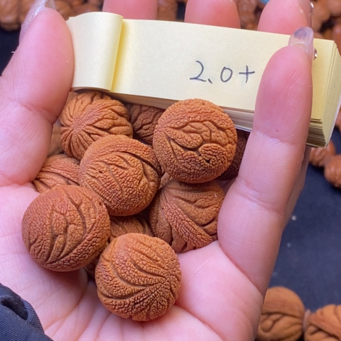 秦岭龙纹桃核13颗