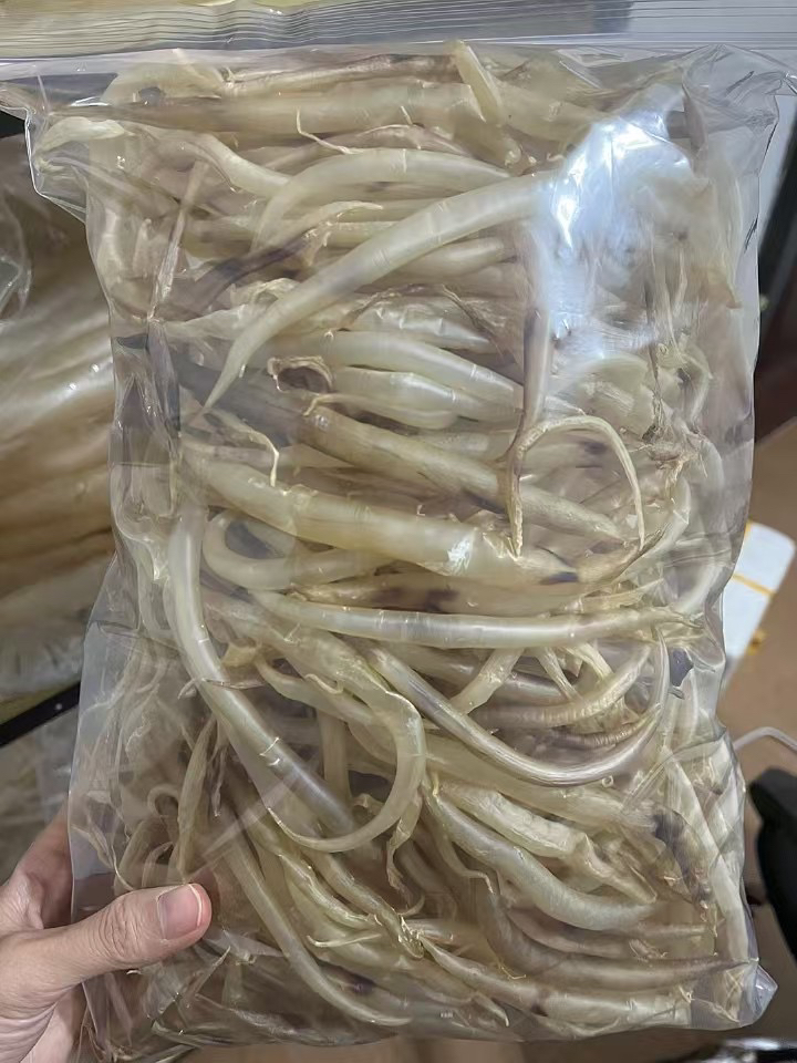 船晒鳗鱼小胶营养滋补花胶