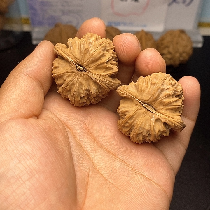 文玩核桃吊坠饕*白狮子