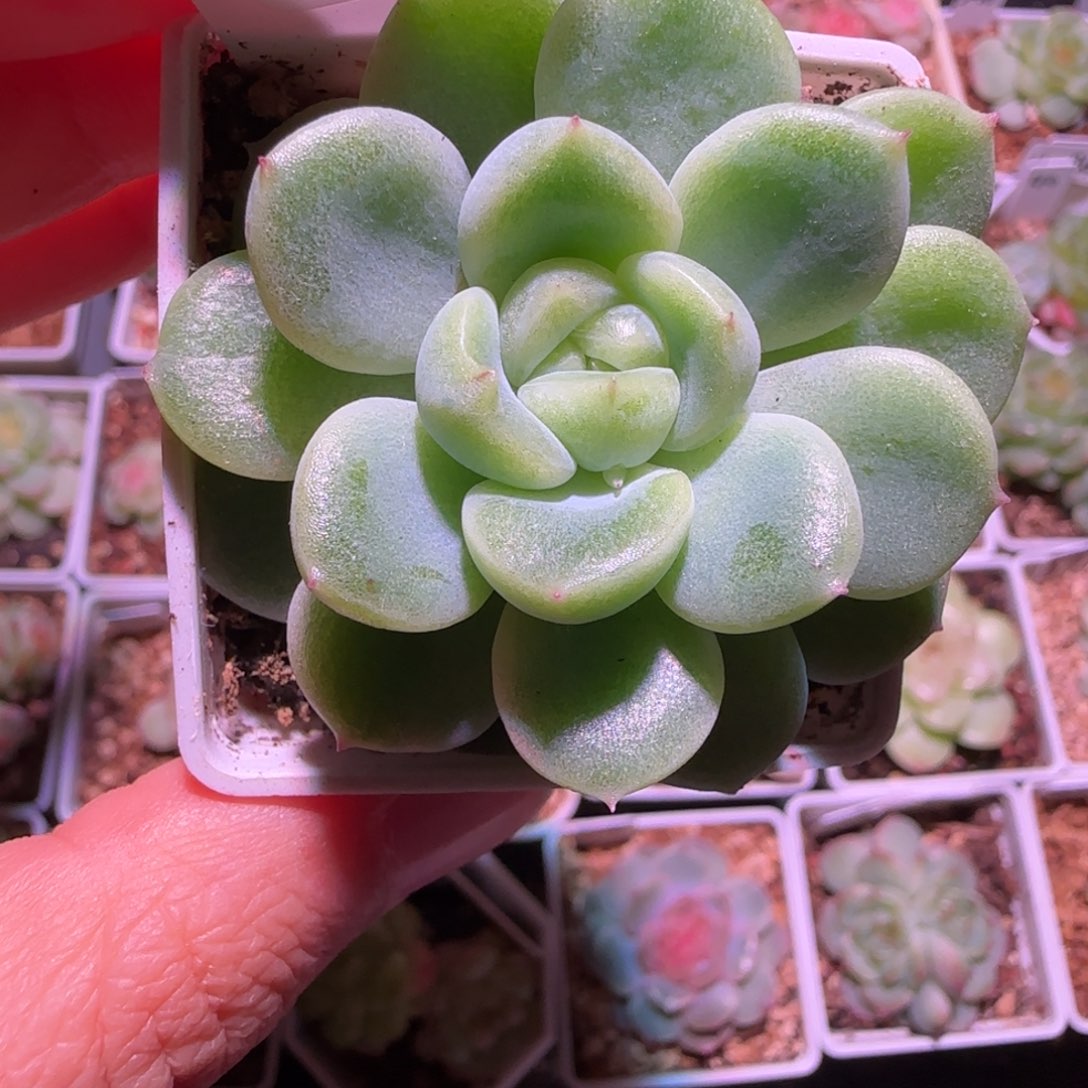 30-23福利财富密码CF5