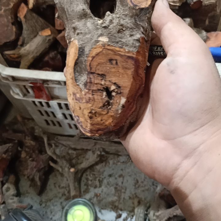 k***空大果紫檀（缅甸花梨）