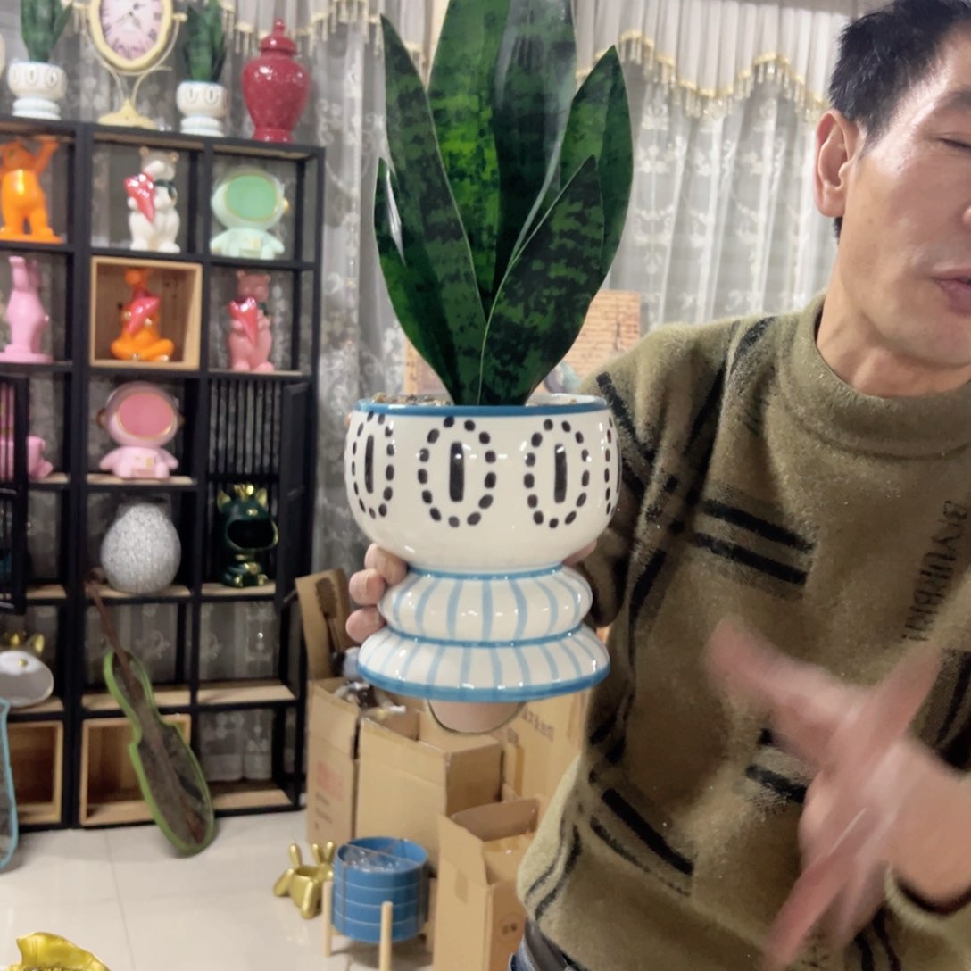 陶红陶红陶红陶陶红陶十个发虎皮兰