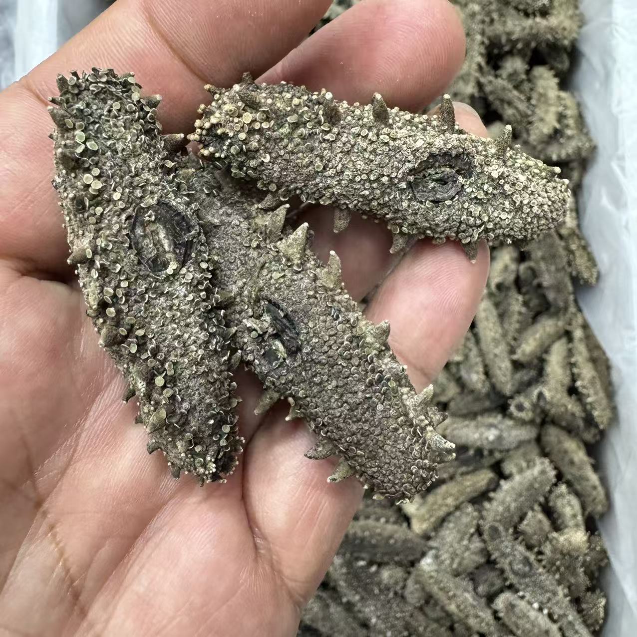古法工艺 国标淡干 拒绝科技狠活