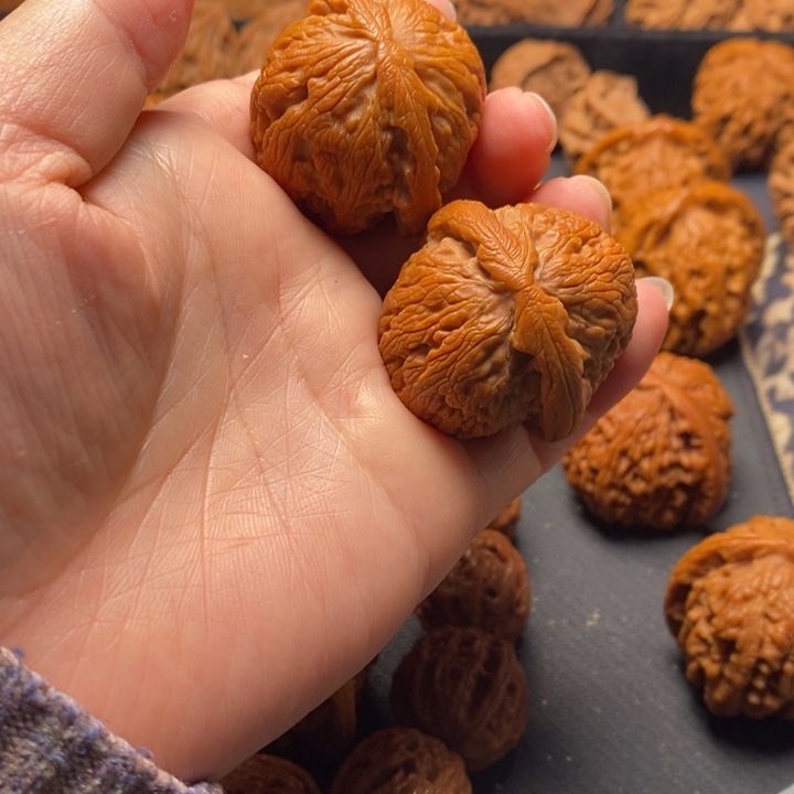 秦岭野生11111111