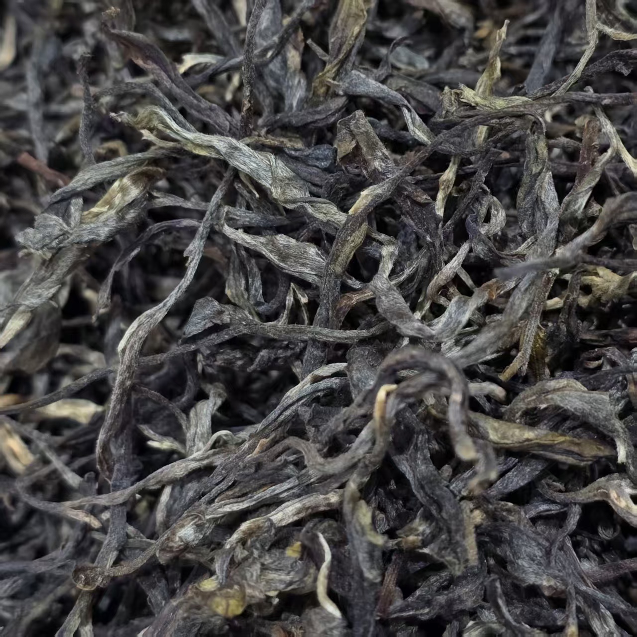 2023年【糯香高杆200年】头春头采普洱茶生茶