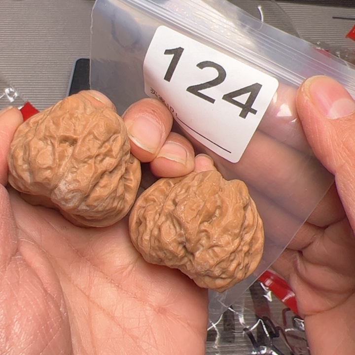 核桃肌肉蛙124号41边42肚50克