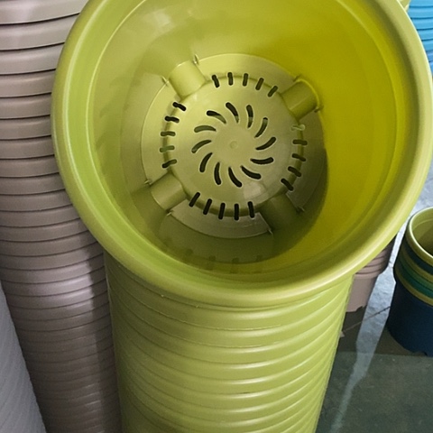 树脂四季4号果绿无托8个微瑕