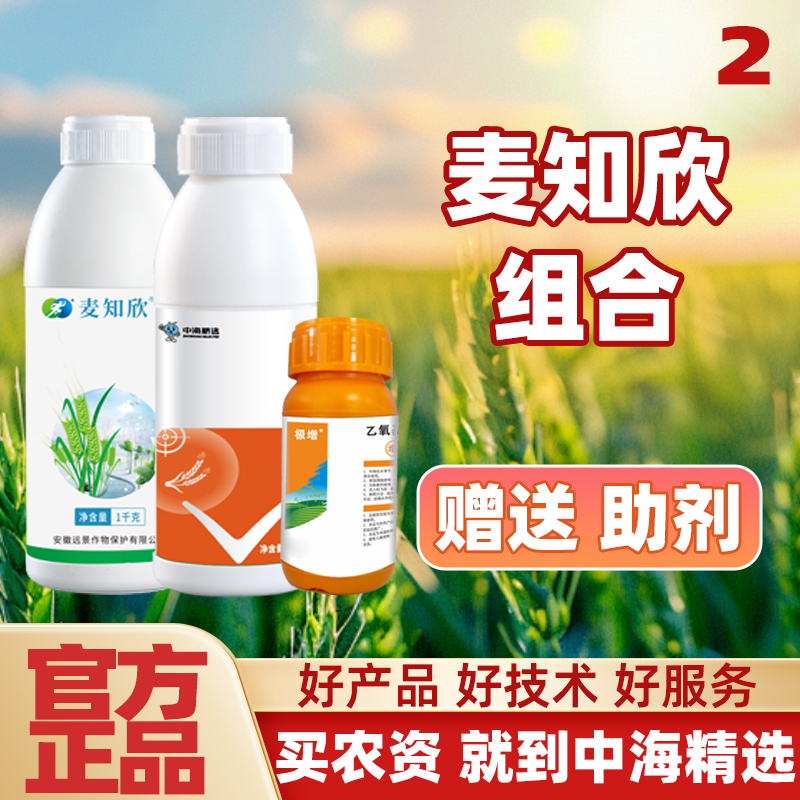 小麦田使用麦知欣组合赠送助剂