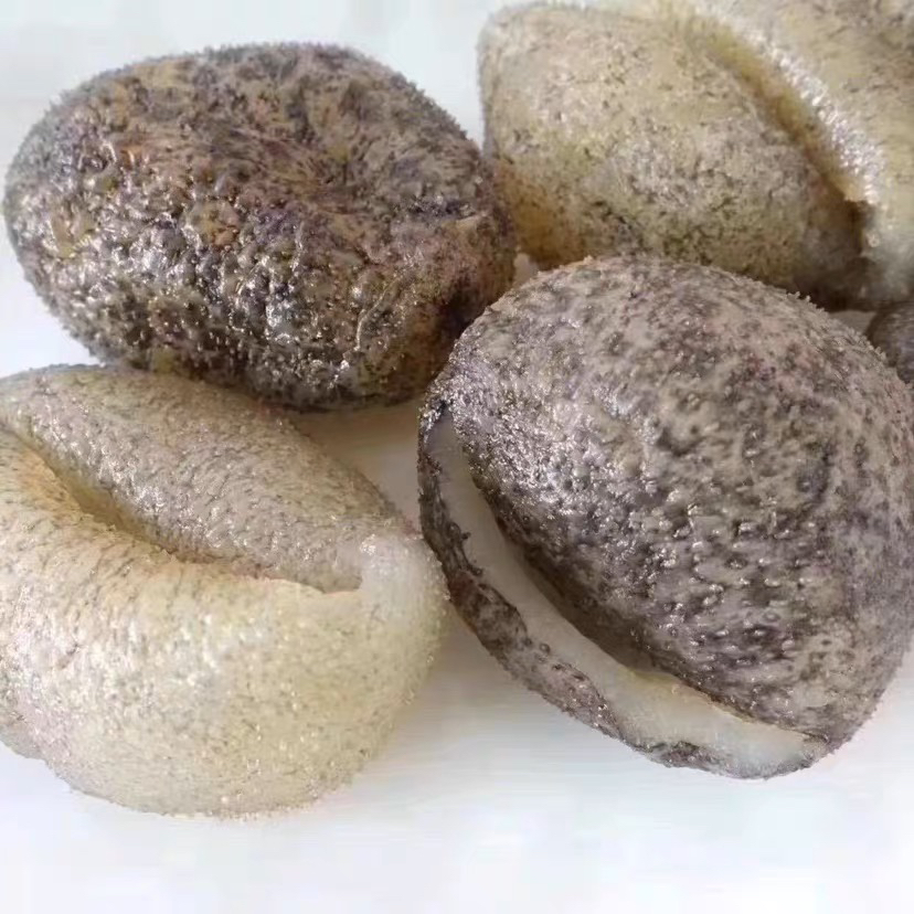  珍珠球参  园球参 淡干海参干货