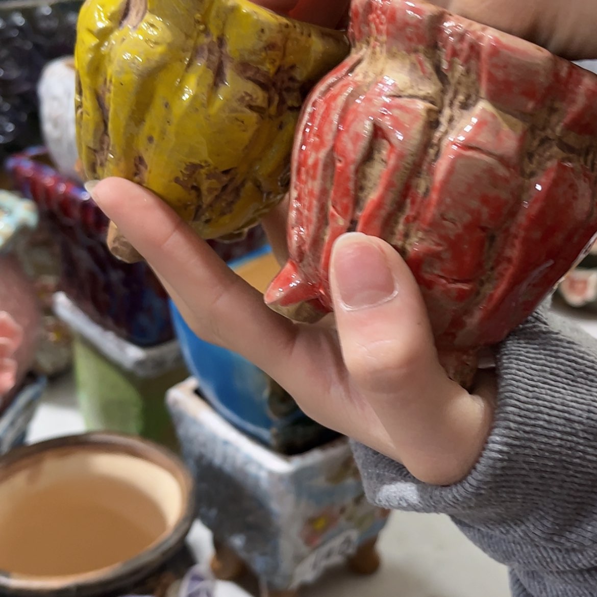 【闪购商品】红陶福利