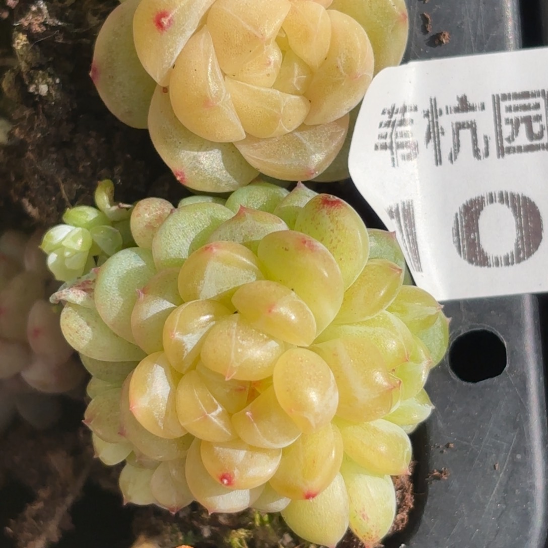 108的最后一天了啊我的