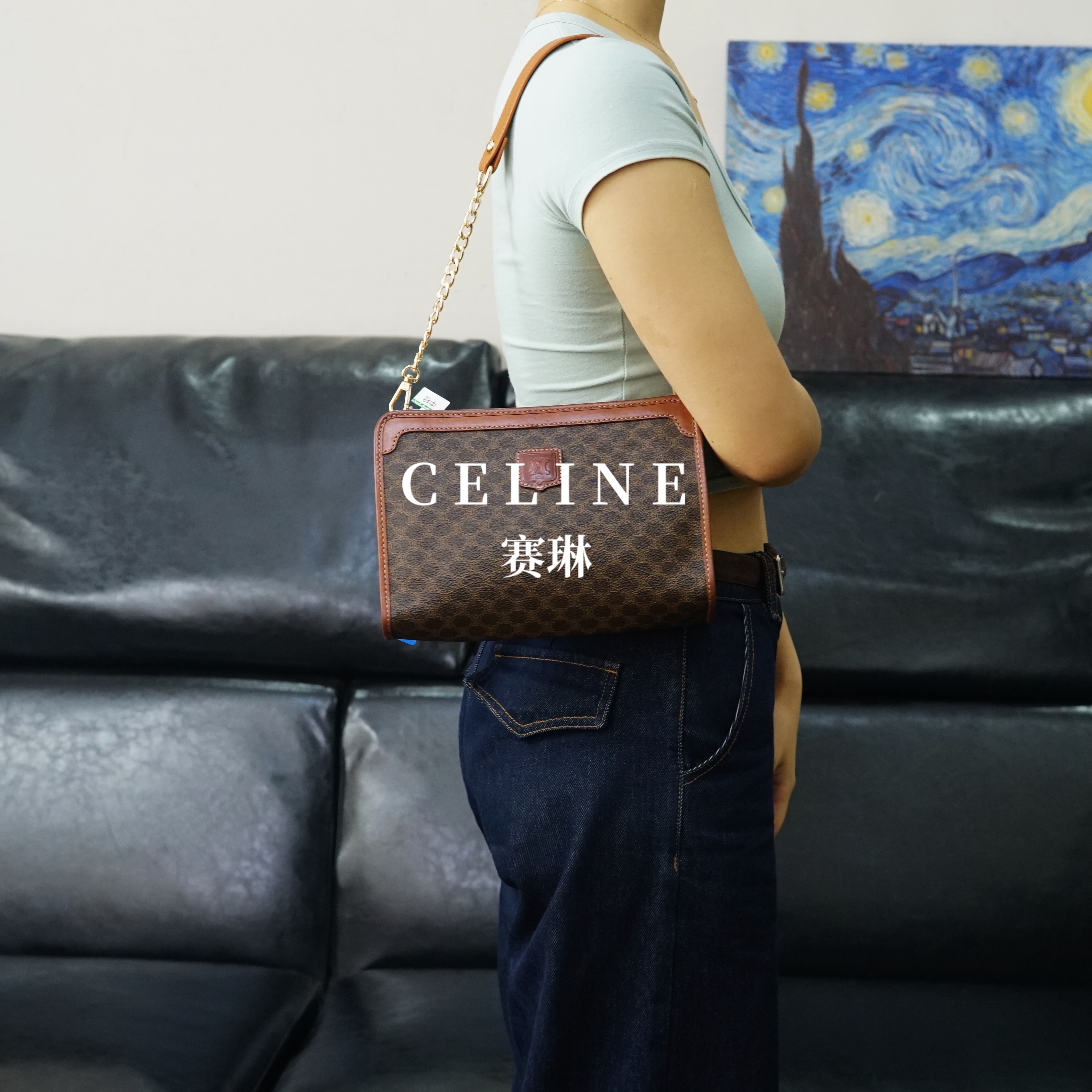 95新 Celine/思琳 老花单肩包/SY06404339/4339