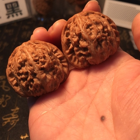 文玩核桃把件白狮子40mm