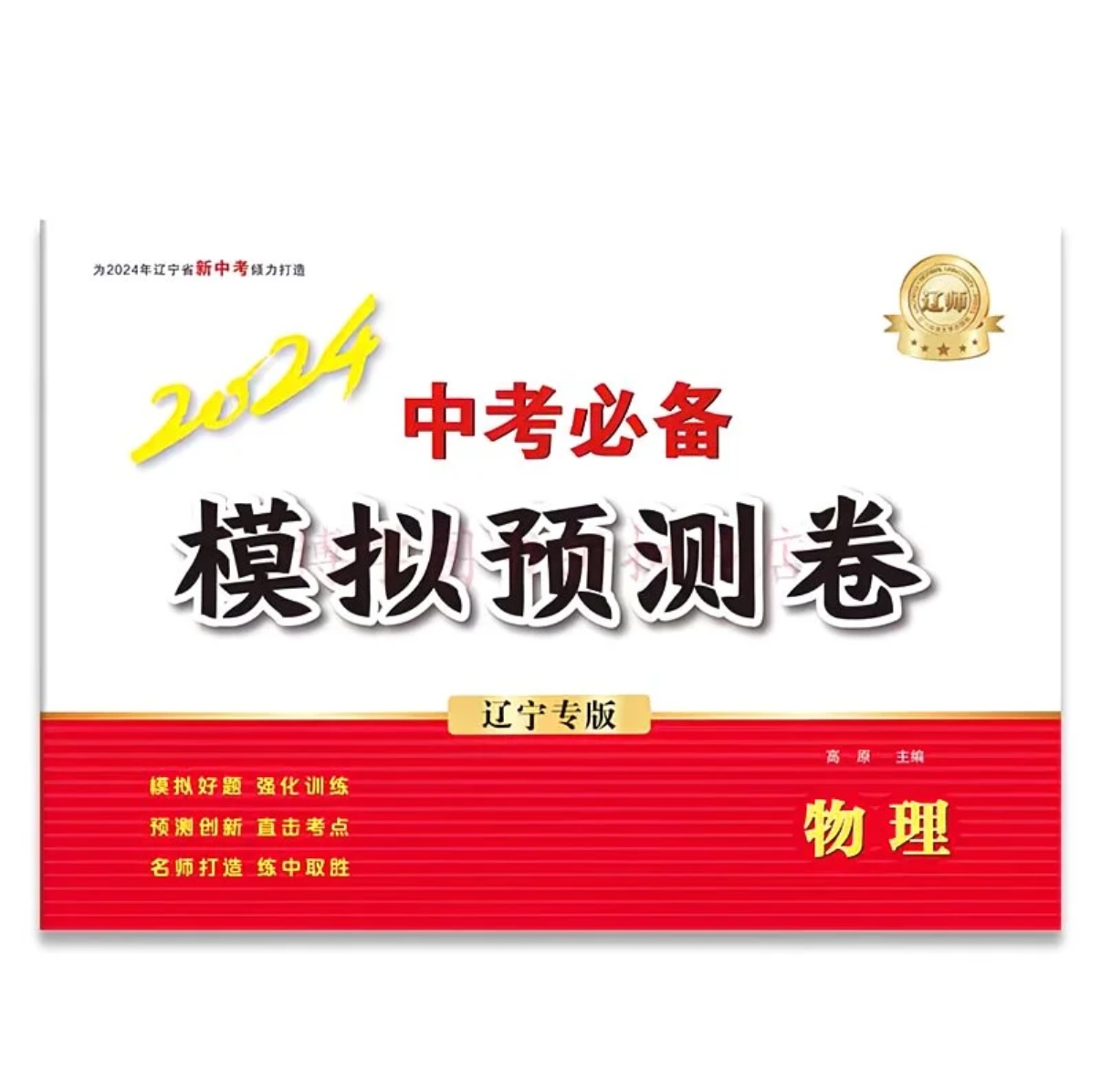中考必备模拟预测物理2024