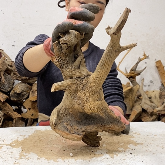 5***9柏木我们都是好孩子