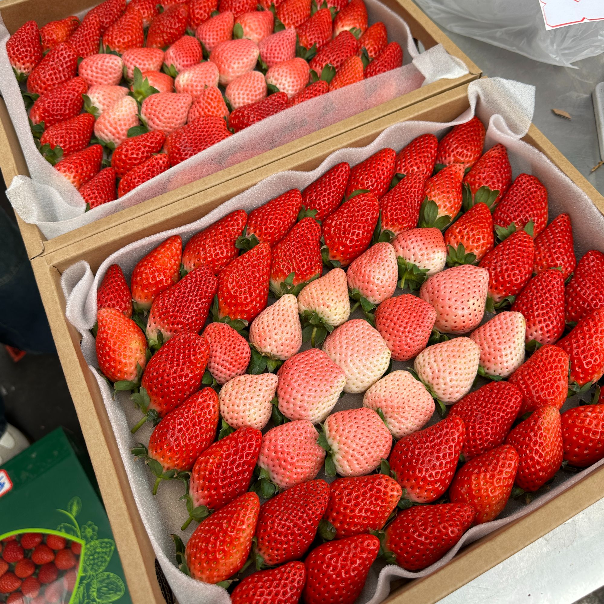 云南玉溪粉玉➕凤梨草莓双拼小果  一件