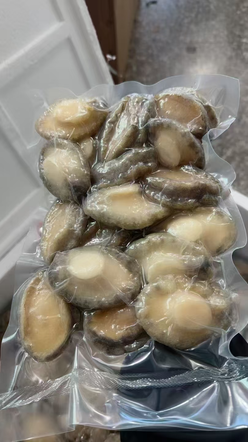(小阿姨专属))活冻鲍鱼