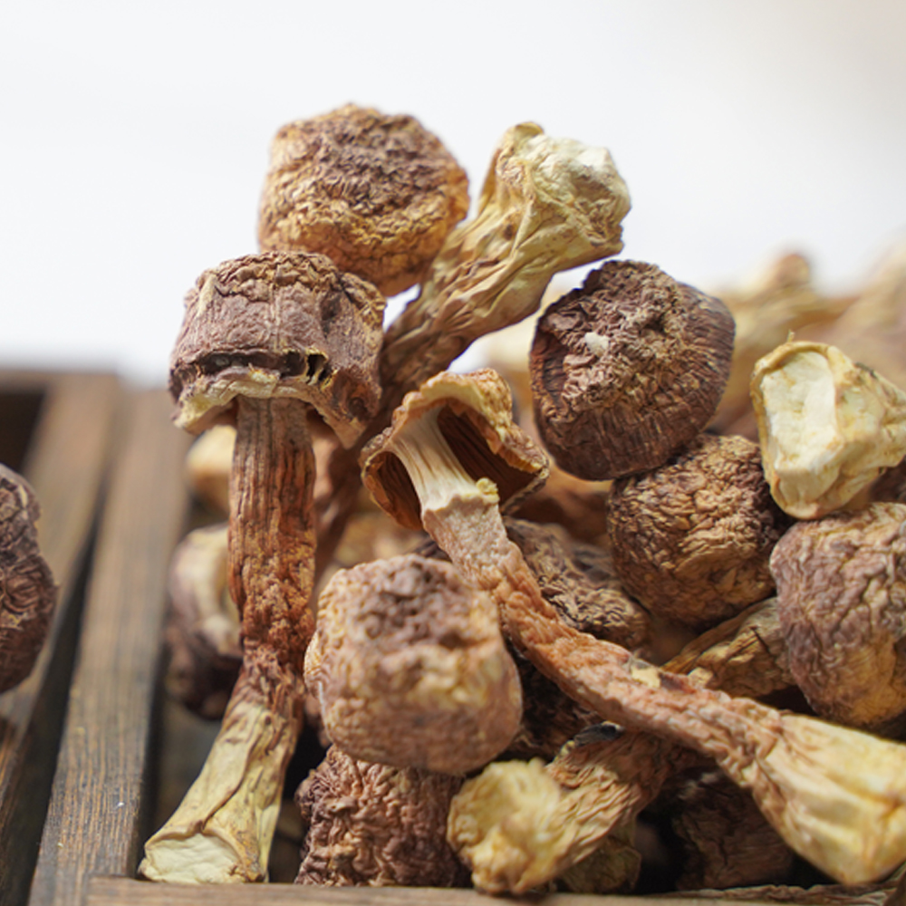 姬松茸云南特产菌菇干货炖汤材料无硫原色