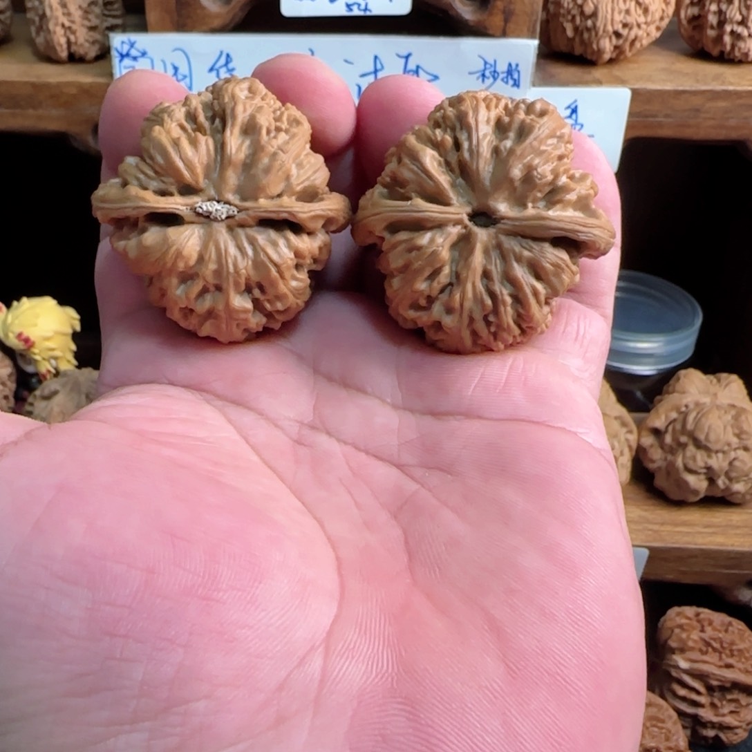 桃核把件杰大粗筋