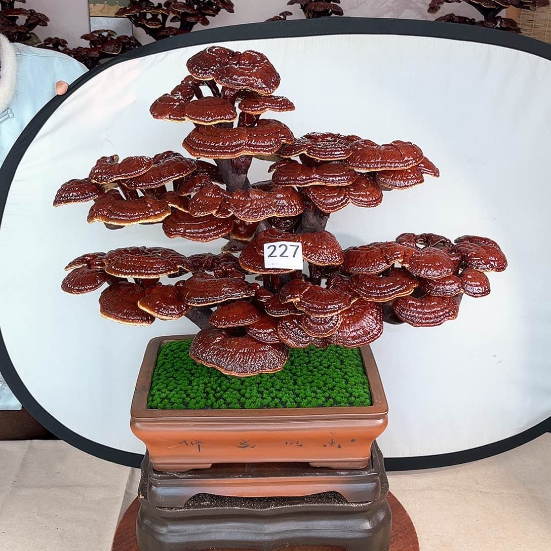 万事如意88888227