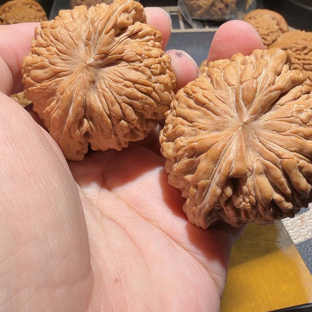 文玩核桃把件华坤龙