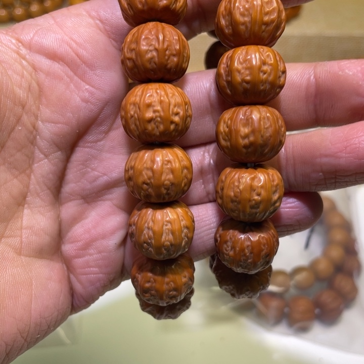 一七尺寸的红皮大金巴棱