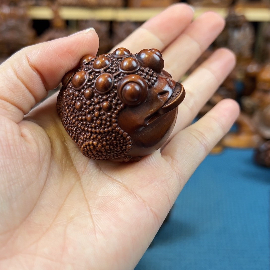 黄杨木小叶黄杨木