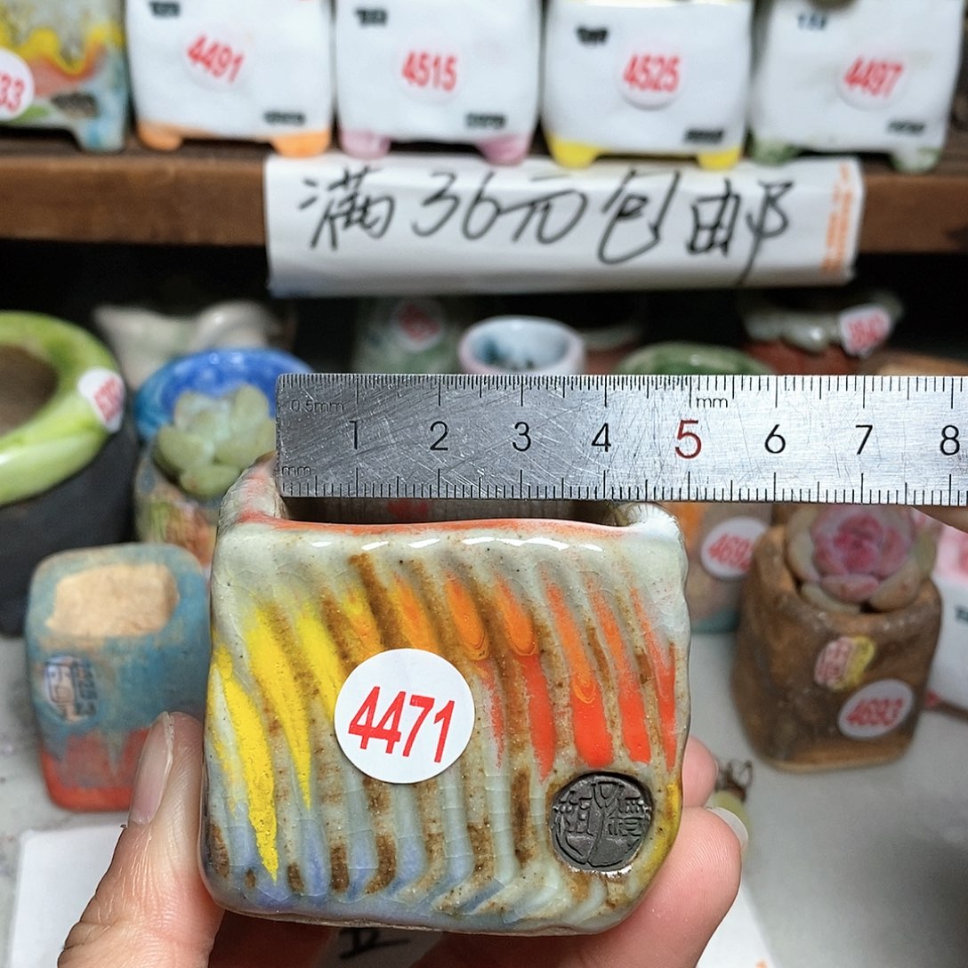 红陶拍5送一个小