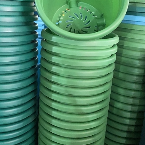 树脂四季3号草绿无托10个