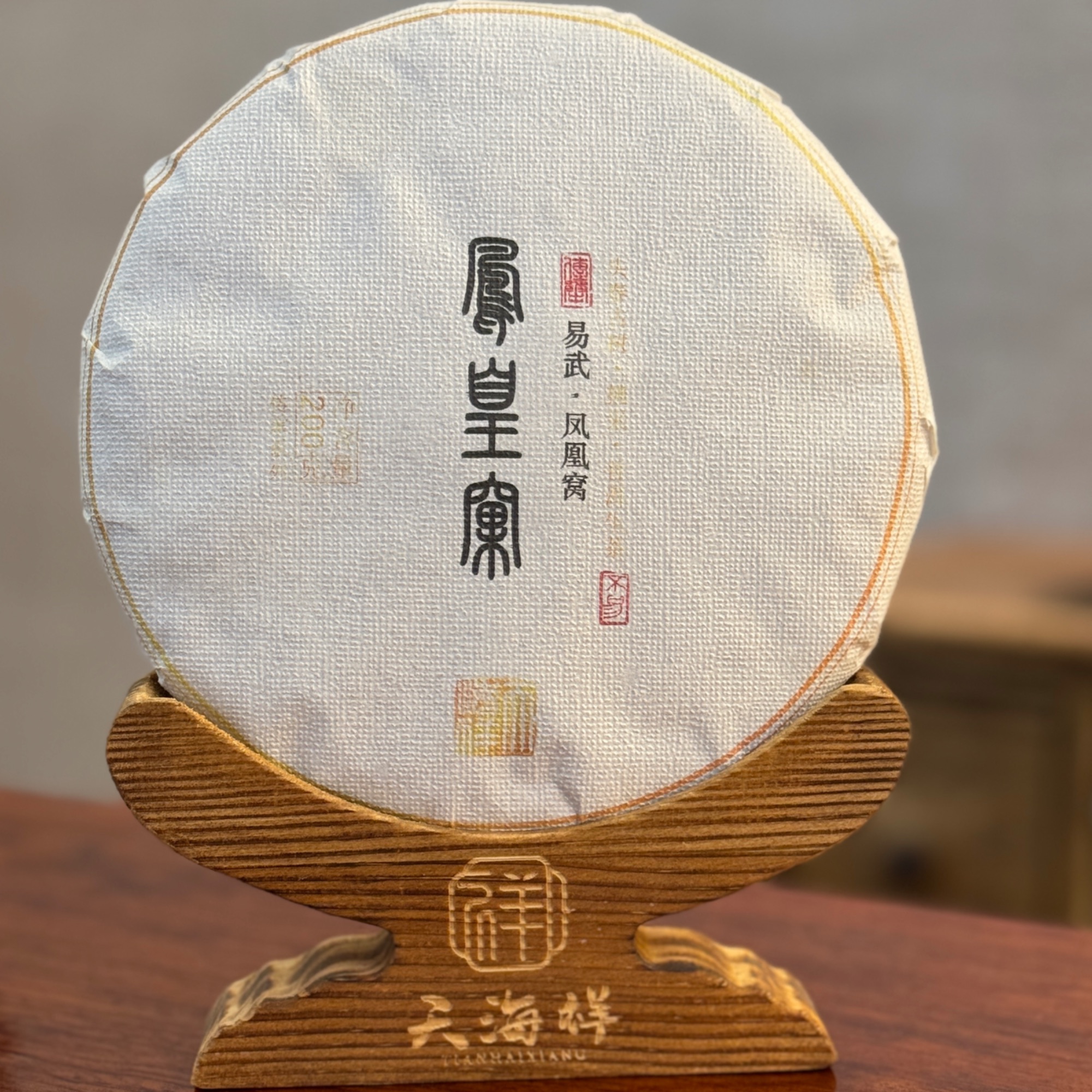 2024年凤凰窝森林古树 过河弯弓生普