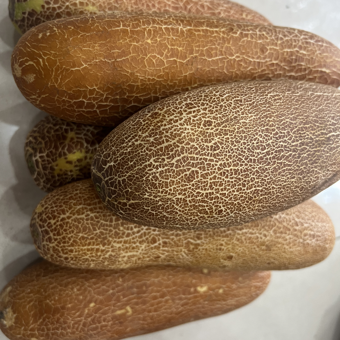 南漳农村新鲜麻皮老黄瓜农家自种现摘应季蔬菜