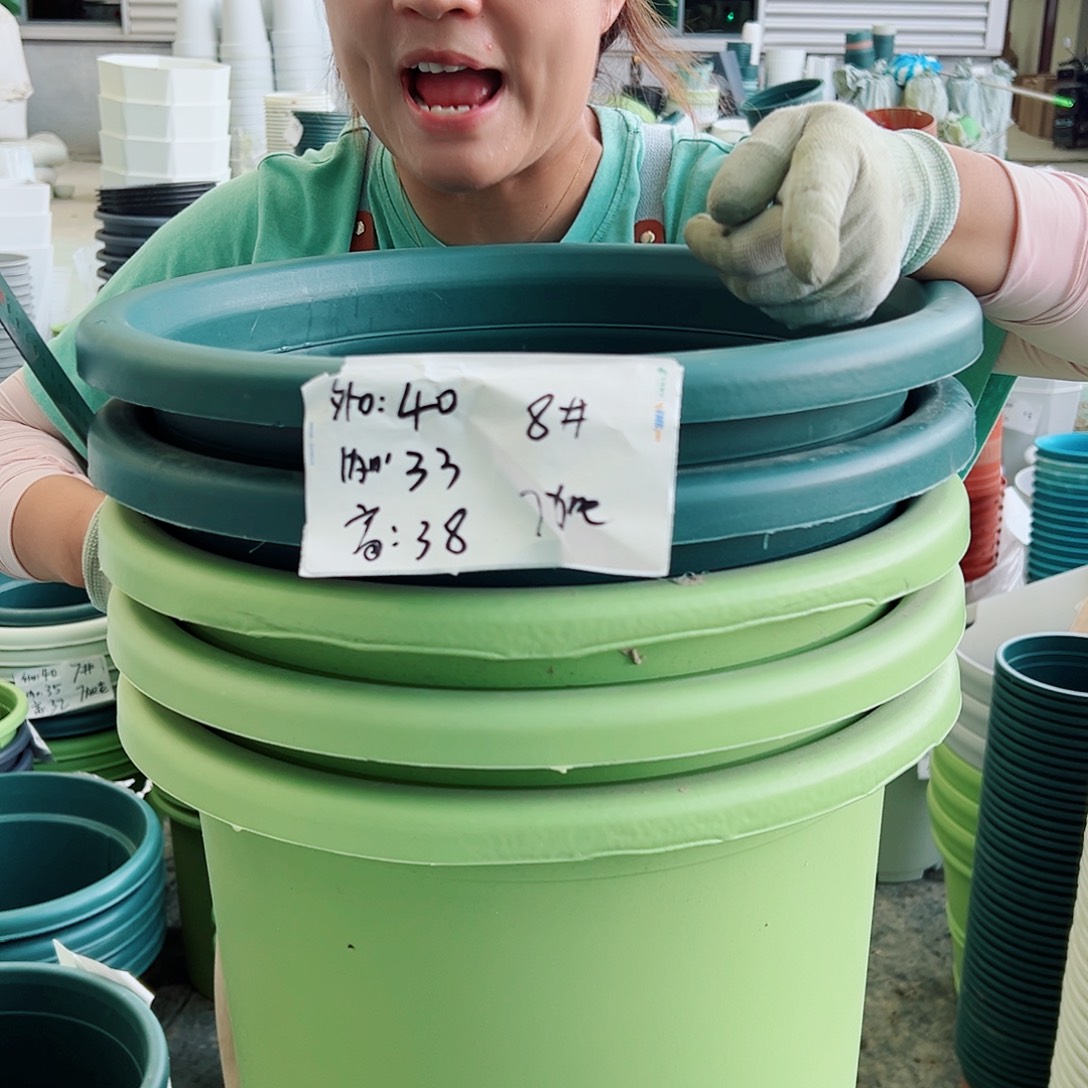 瑕疵四季盆8#果绿3墨绿2无托