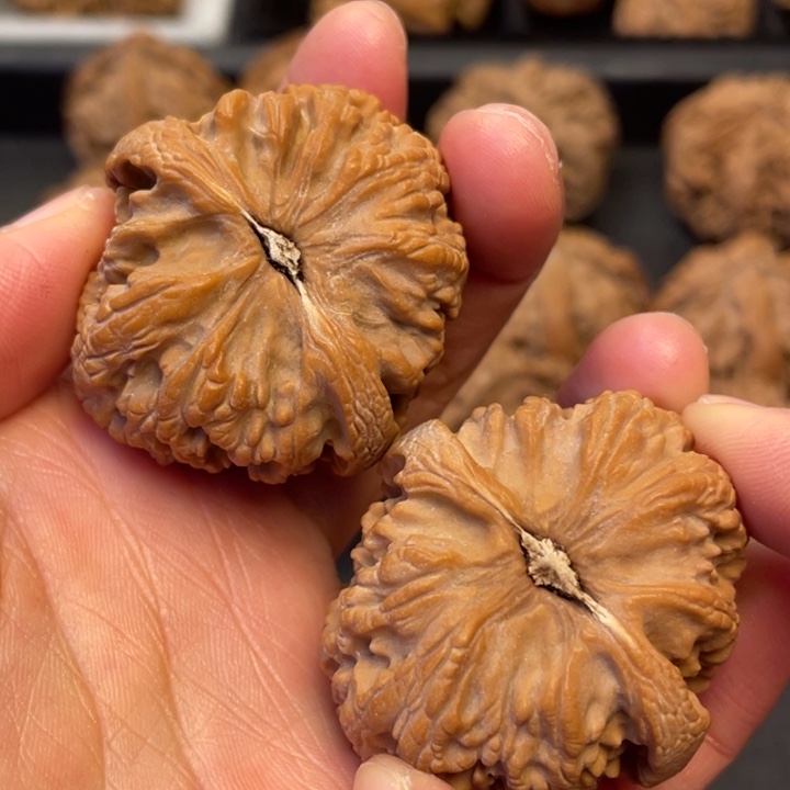 吊坠文玩核桃突突路突突突突突